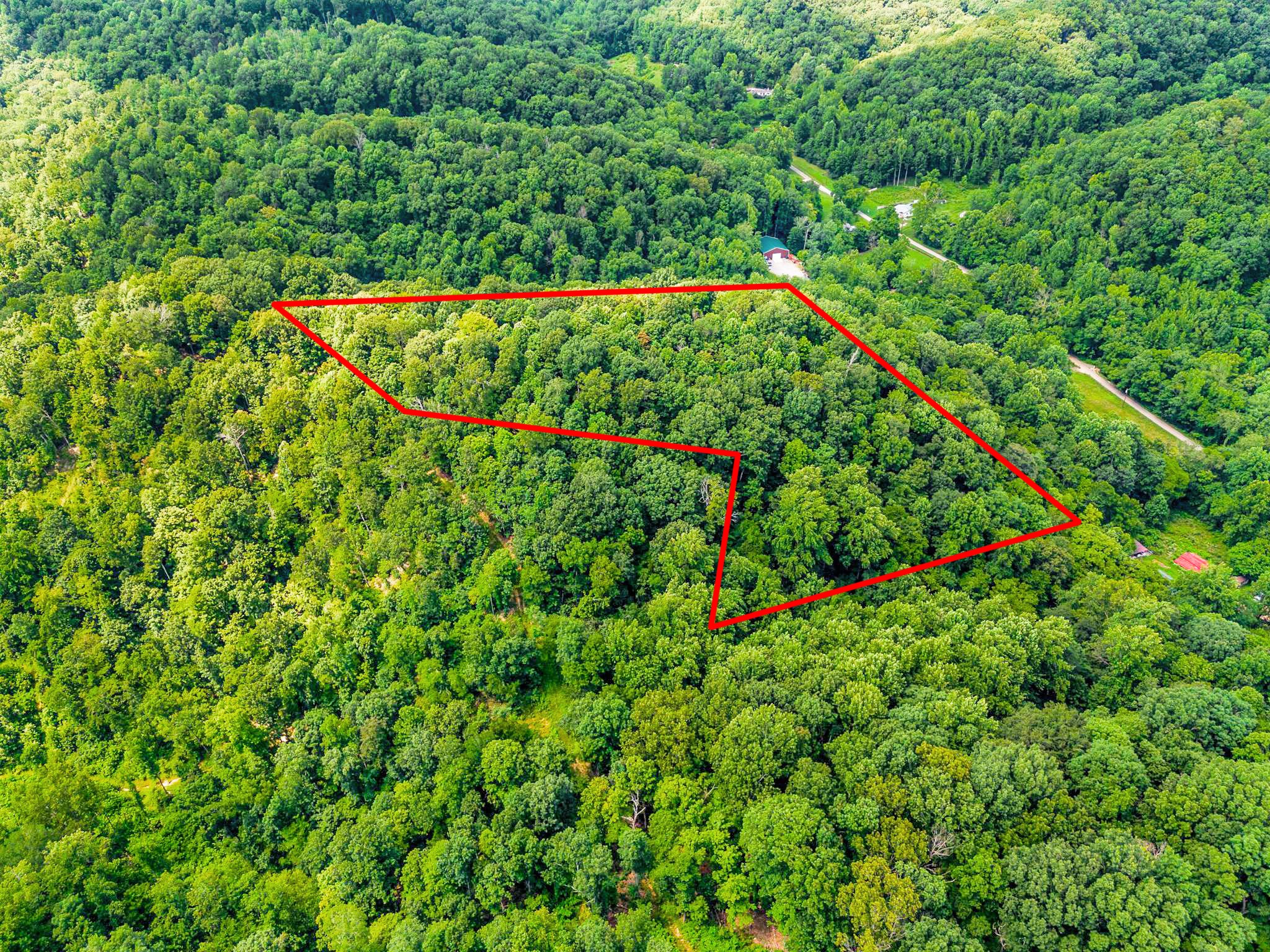 0 Tranham Road Whites Creek, TN 37189 - Photo 4 of 12 a view of a backyard