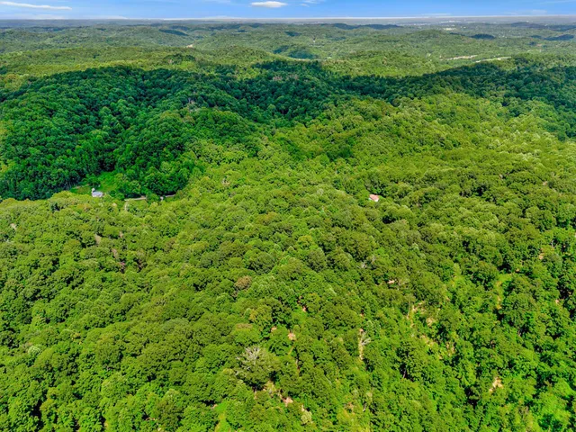 a view of a lush green space