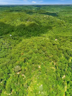 a view of a big yard with plants and wooden fence