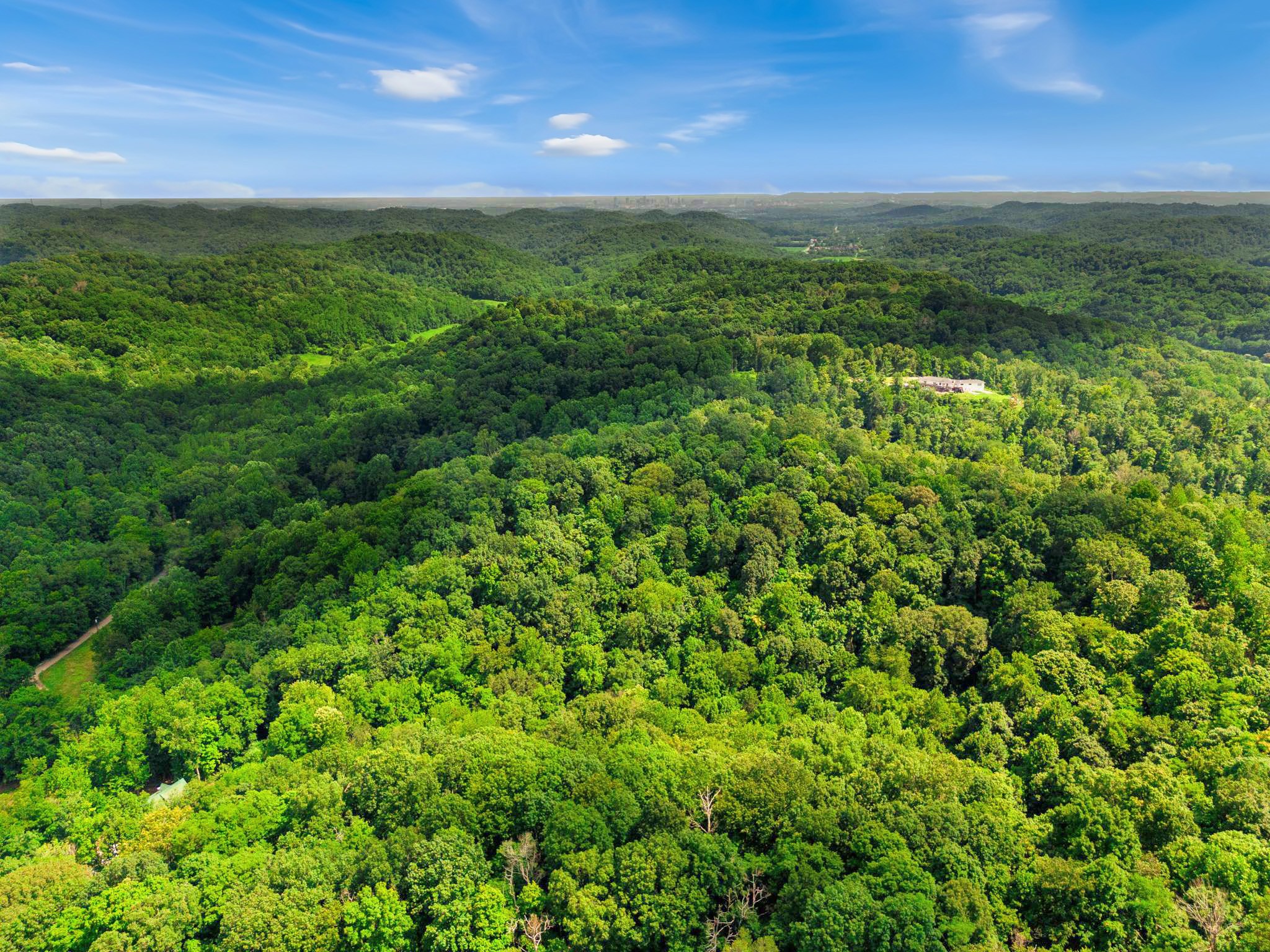 0 Tranham Road Whites Creek, TN 37189 - Photo 8 of 12 a view of a lush green space with sea