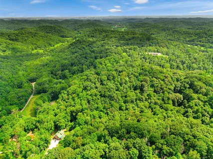 a view of a lush green space