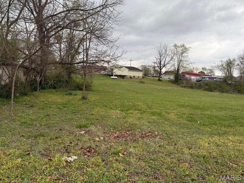 0 4th Street Mountain View, MO 65548 - Photo 3 of 6