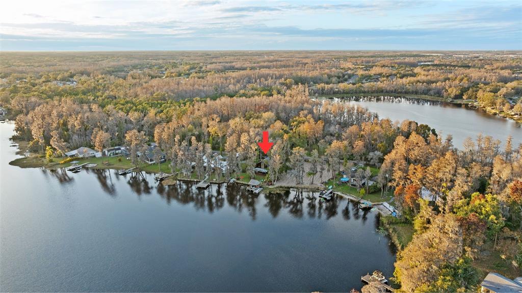 19220 Lake Allen Road Lutz, FL 33558 - Photo 6 of 66