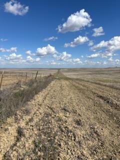 Kings Road Lost Hills, CA 93249 - Photo 3 of 5 a view of an ocean beach