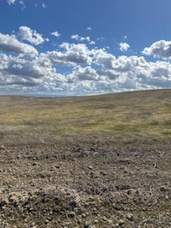 Kings Road Lost Hills, CA 93249 - Photo 4 of 5 a view of an ocean