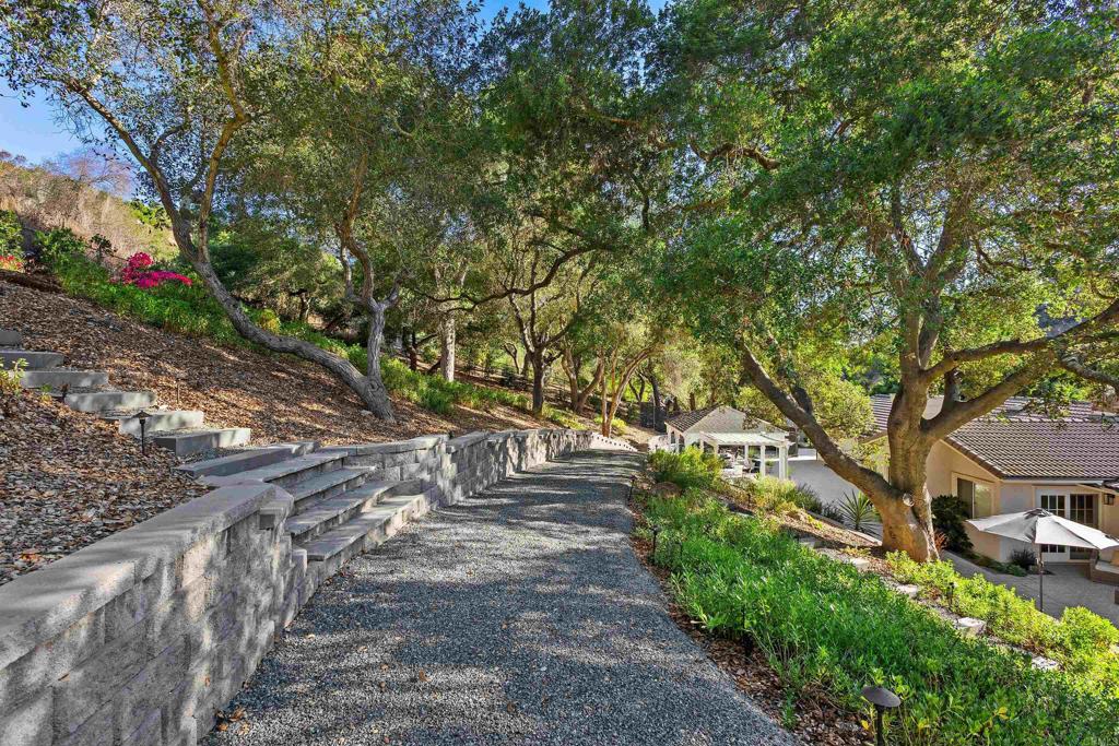2614 Secret Lake Lane Fallbrook, CA 92028 - Photo 35 of 60 a view of a yard with plants and trees