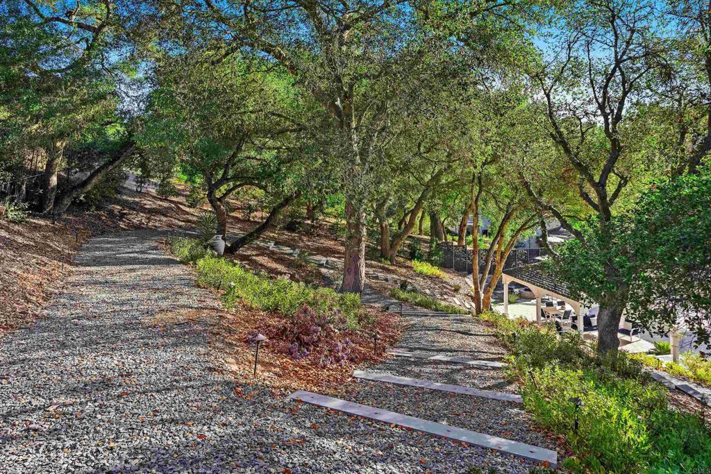 2614 Secret Lake Lane Fallbrook, CA 92028 - Photo 37 of 60 a view of a yard with plants and a large tree