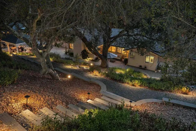 a view of a tree with a yard