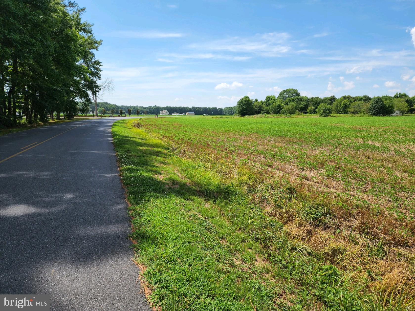 Sheephouse Road Pocomoke City, MD 21851 - Photo 1 of 6 Gallery Image 1