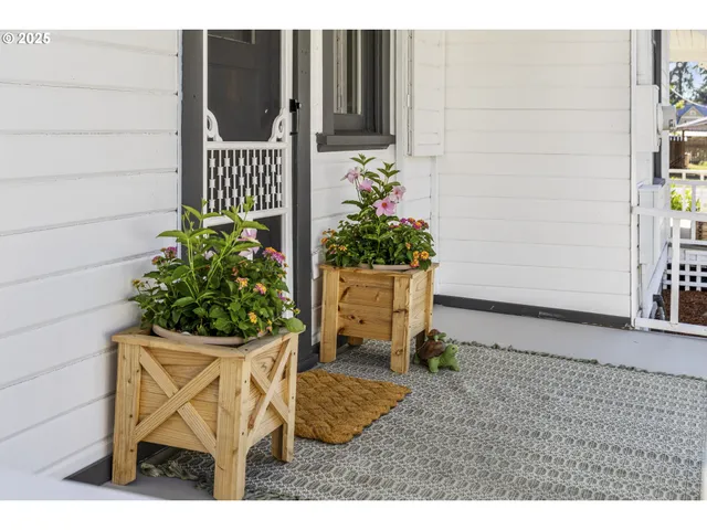 a potted plant sitting in front of a house