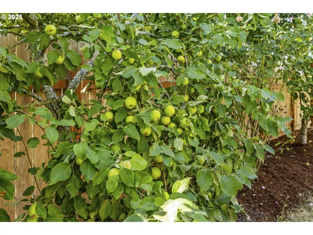 a view of outdoor space with garden