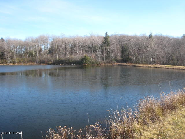 1050 Ravnikar Road Forest City, PA 18421 - Photo 17 of 28