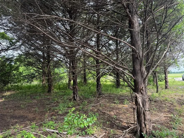 $254,160 | 901 St Gordonville Tx 76245, Gordonville, TX 76245