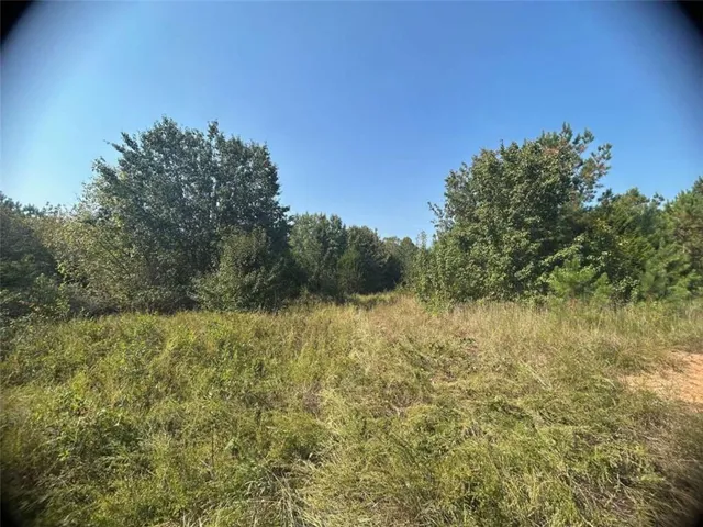 a view of a yard with large trees