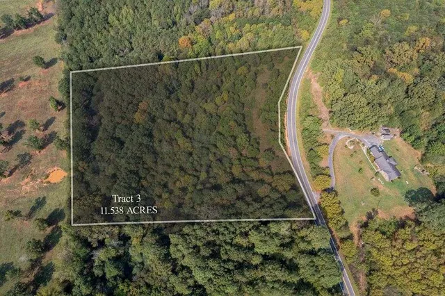 a view of a houses with a lush green forest