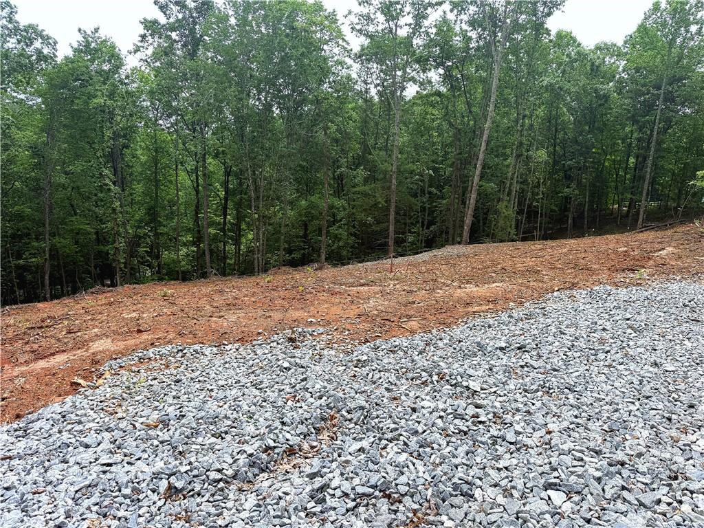 329 River Highlands Road Dahlonega, GA 30533 - Photo 2 of 9