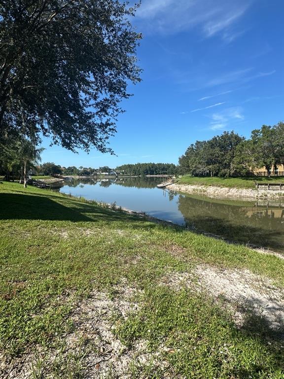 18048 Java Isle Drive Tampa, FL 33647 - Photo 21 of 21 Gallery Image 21
