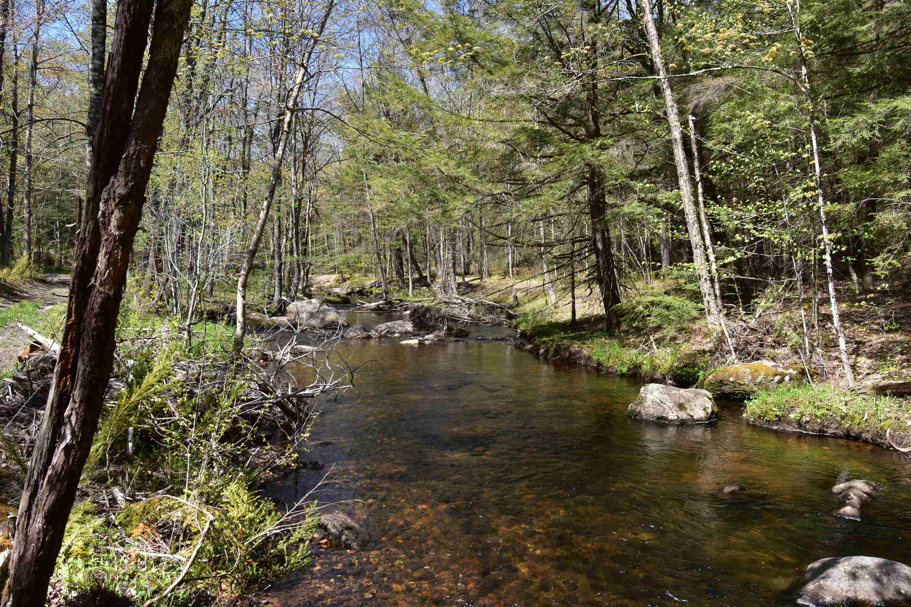 0 Whipple Hill Road Richmond, NH 03470 - Photo 11 of 30 Gallery Image 11