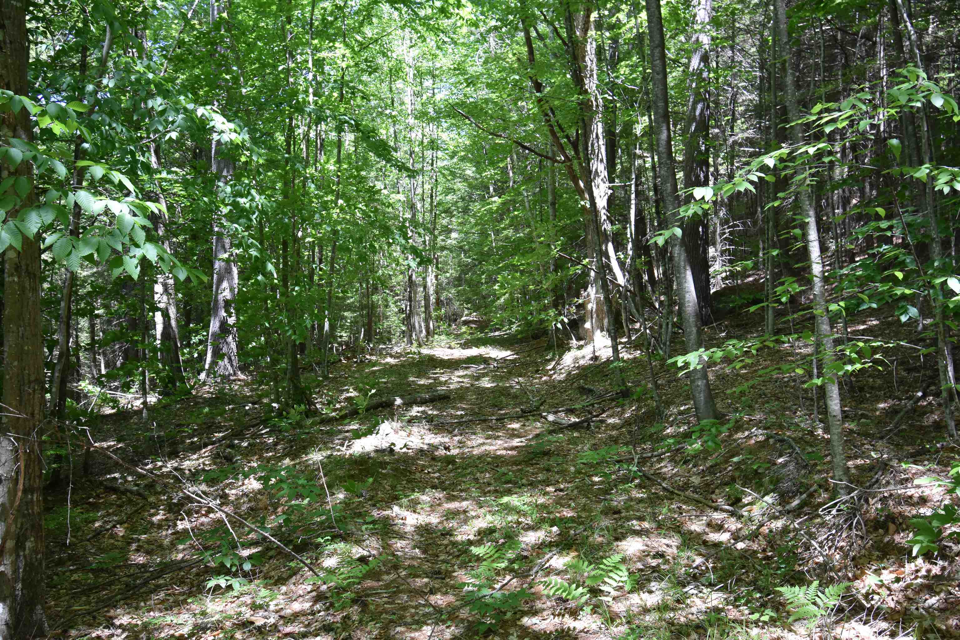 0 Whipple Hill Road Richmond, NH 03470 - Photo 15 of 30 Gallery Image 15