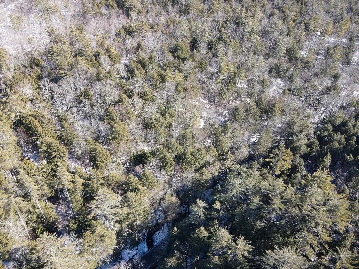 0 Whipple Hill Road Richmond, NH 03470 - Photo 22 of 30 Gallery Image 22