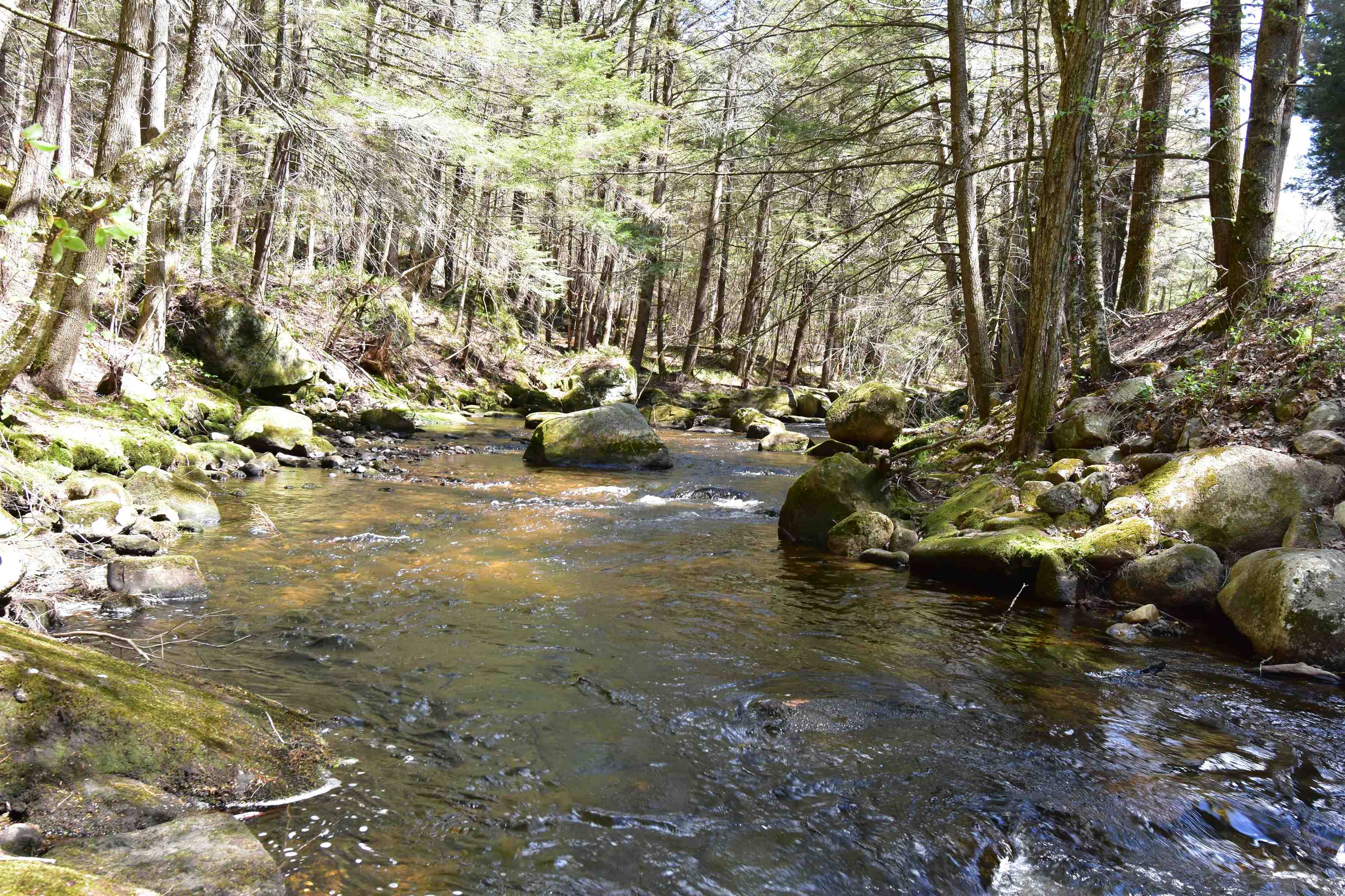 0 Whipple Hill Road Richmond, NH 03470 - Photo 25 of 30 Gallery Image 25