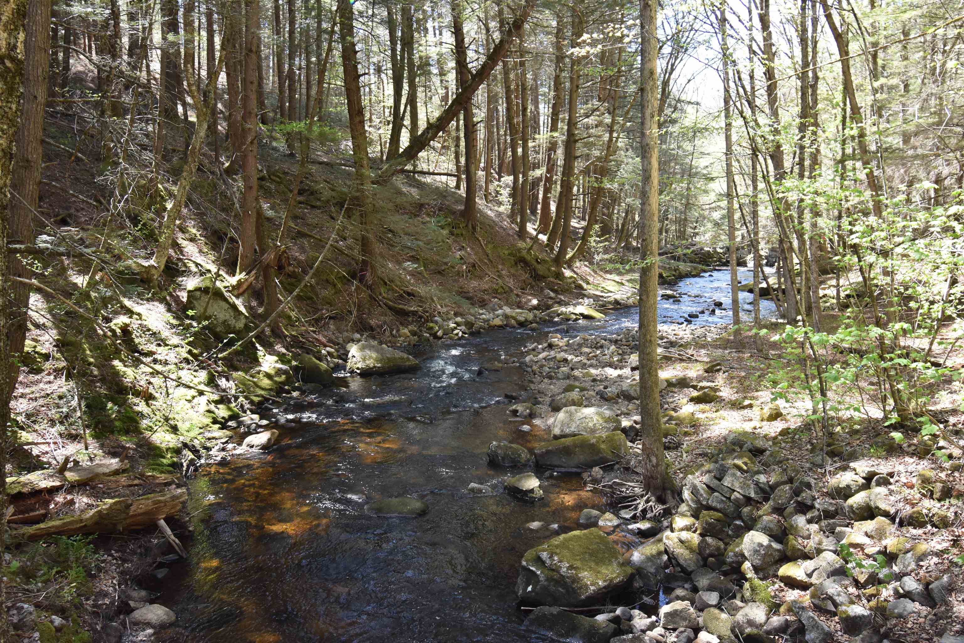 0 Whipple Hill Road Richmond, NH 03470 - Photo 26 of 30 Gallery Image 26