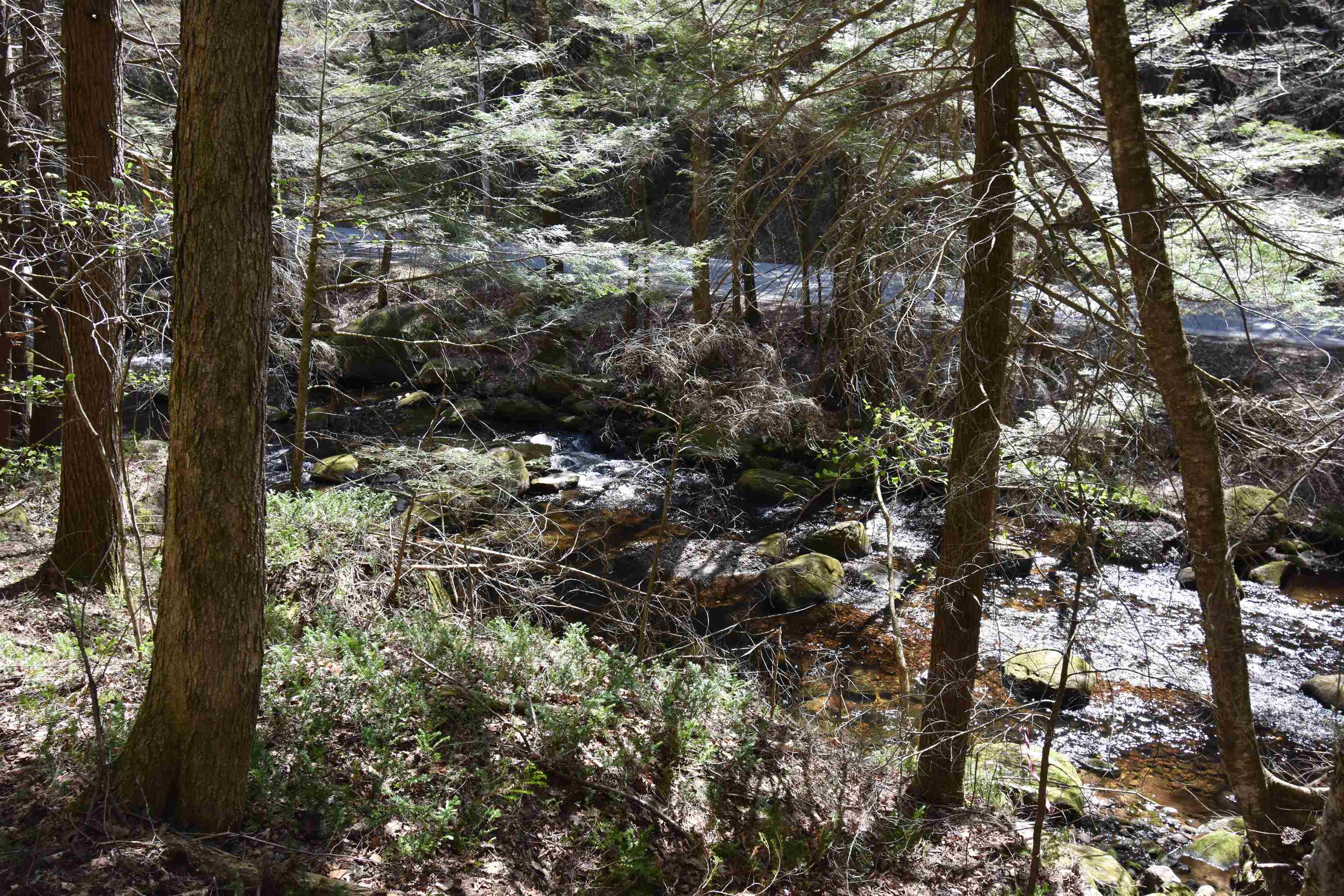 0 Whipple Hill Road Richmond, NH 03470 - Photo 28 of 30 Gallery Image 28