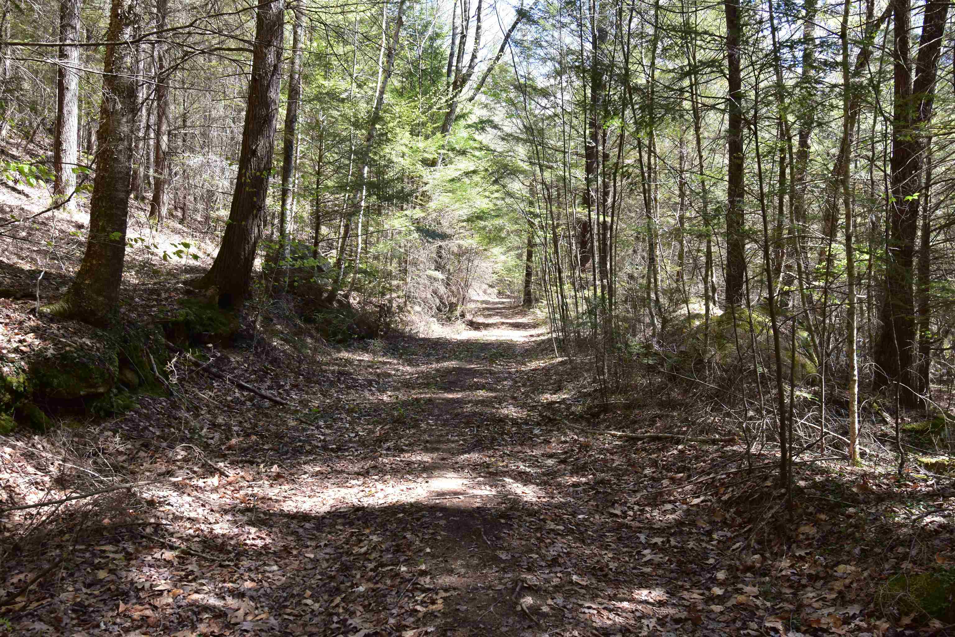 0 Whipple Hill Road Richmond, NH 03470 - Photo 29 of 30 Gallery Image 29