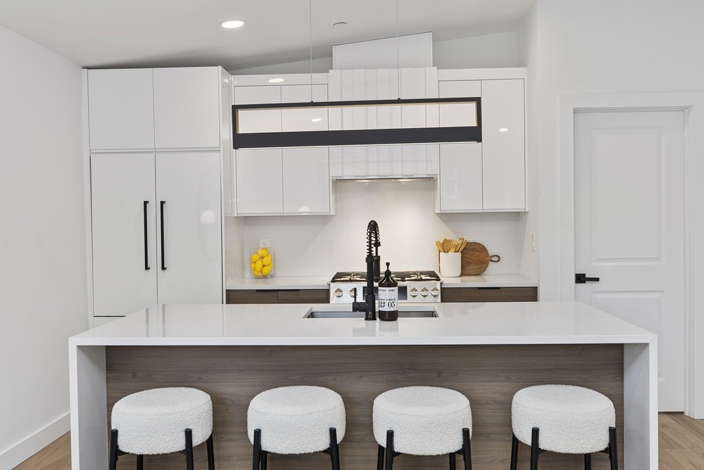 118 Spring Street, Unit 3 Cambridge, MA 02141 - Photo 1 of 15 Gallery Image 1