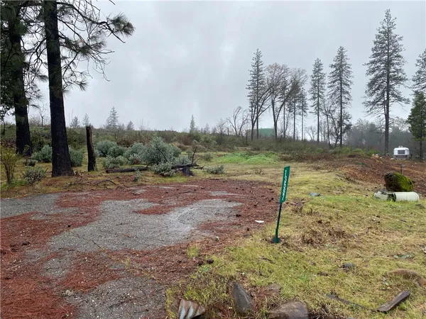 a view of a yard with trees