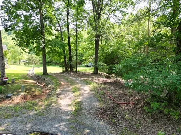 a view of outdoor space with trees all around