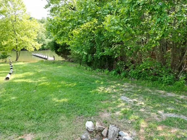 a view of a lush green space