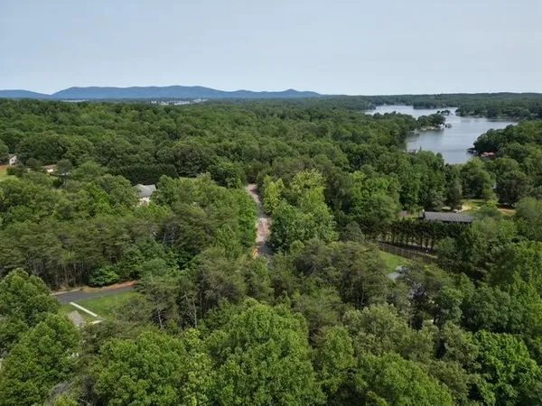 a view of a city with lush green forest