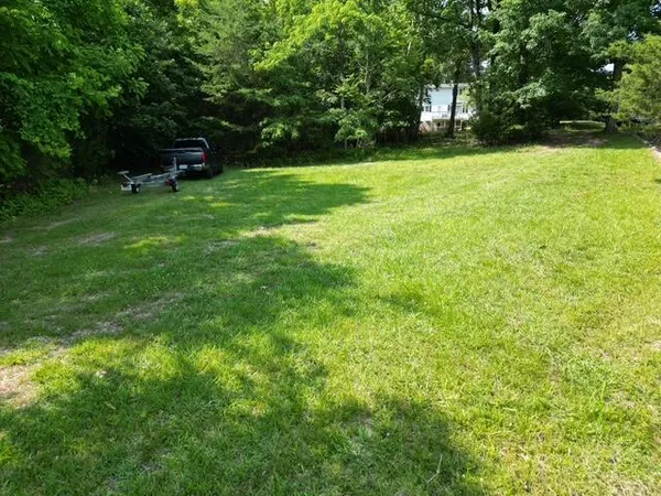 a backyard of a house with plants and large trees