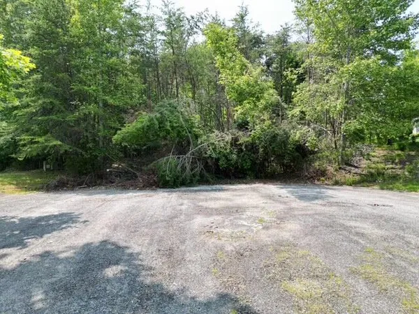 a view of a yard with a trees
