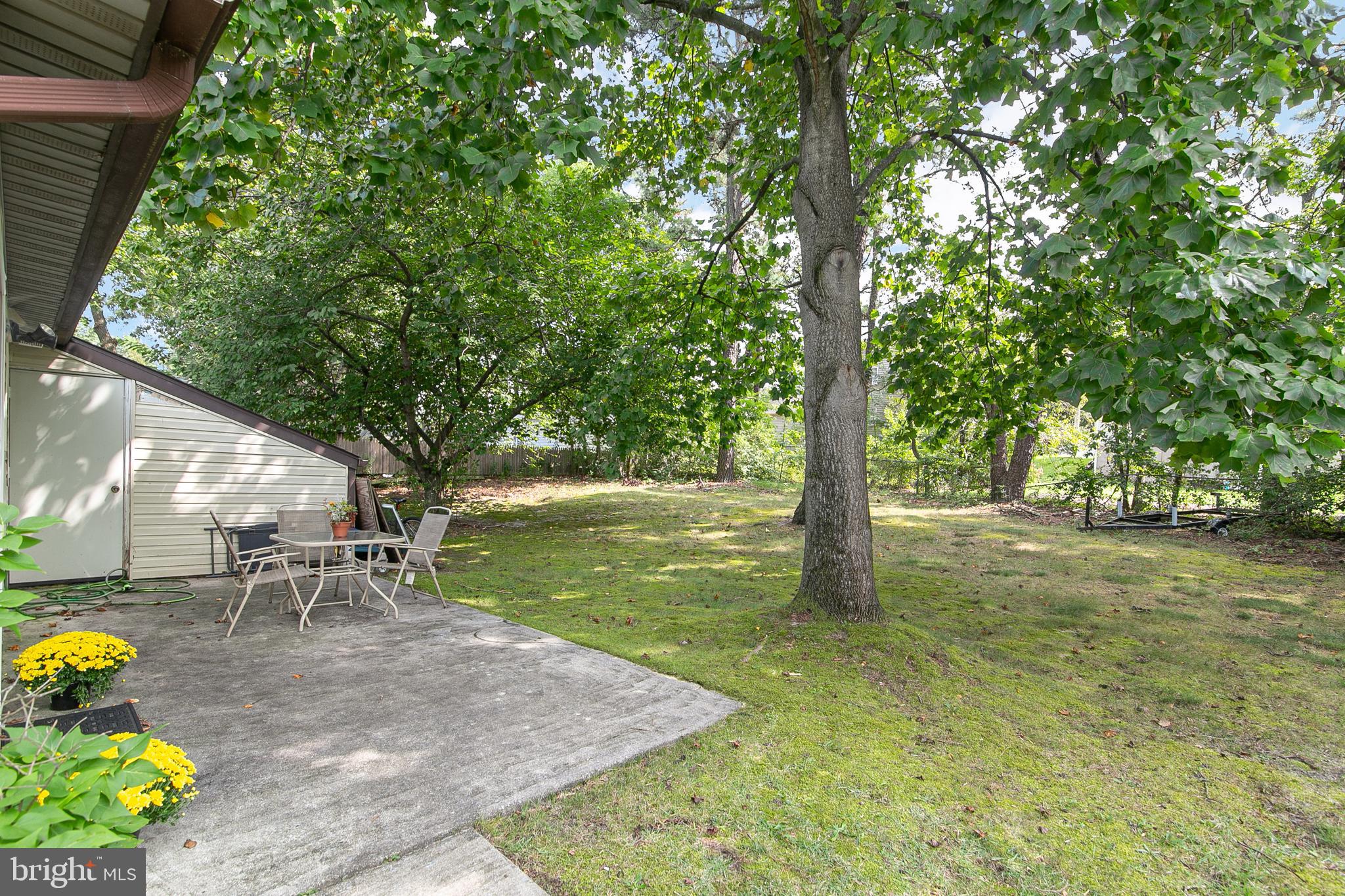 26 Ray Smith Road Sicklerville, NJ 08081 - Photo 21 of 25 backyard- you can see attached storage shed
