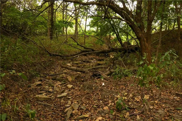$140,000 | Tbd Southeast Tbd Highway, Warrensburg, MO 64093