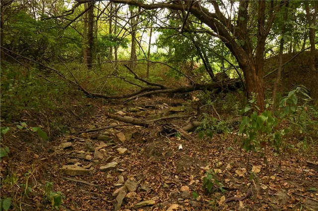 $150,000 | Tbd Southeast Tbd Highway, Warrensburg, MO 64093