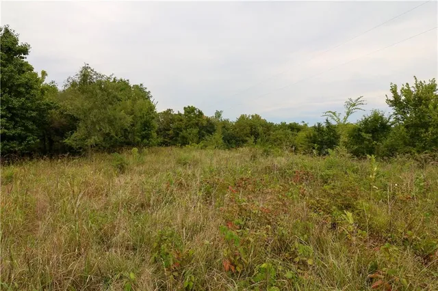 $150,000 | Tbd Southeast Tbd Highway, Warrensburg, MO 64093