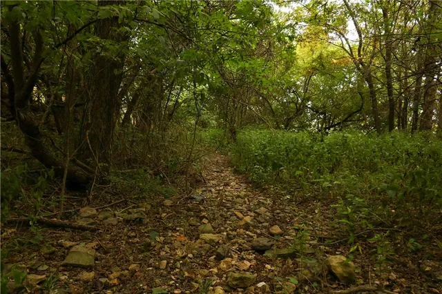 $150,000 | Tbd Southeast Tbd Highway, Warrensburg, MO 64093
