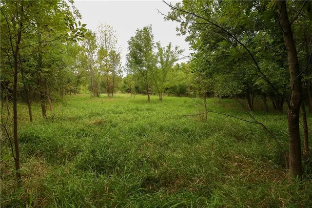 $150,000 | Tbd Southeast Tbd Highway, Warrensburg, MO 64093