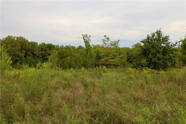 $150,000 | Tbd Southeast Tbd Highway, Warrensburg, MO 64093