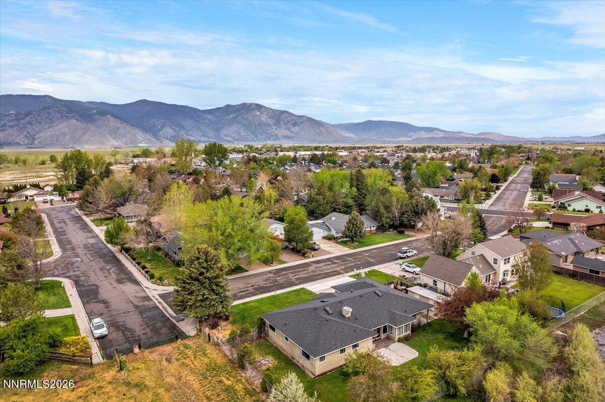 1607 Olua Street Minden, NV 89423 - Photo 74 of 75 02-DJI_0399