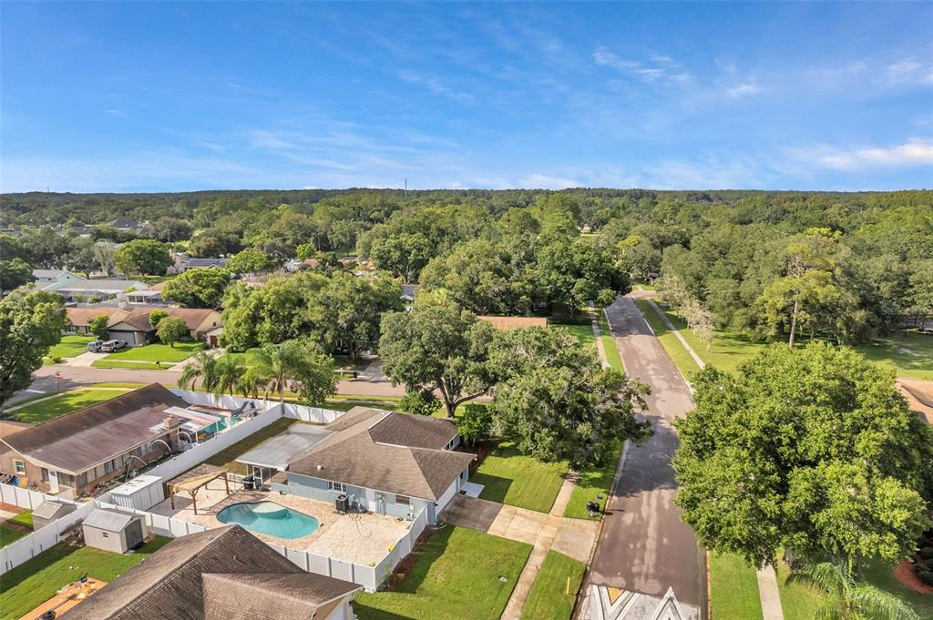 1520 Windmill Pointe Road Palm Harbor, FL 34685 - Photo 57 of 64 an aerial view of residential houses with outdoor space and trees