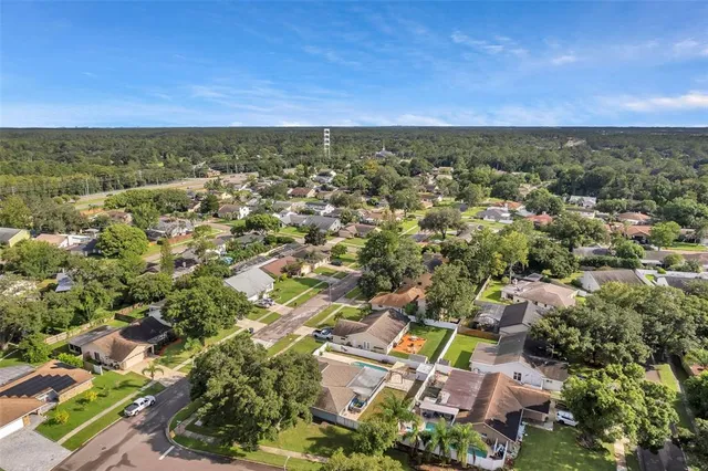 $3,350 | 1520 Windmill Pointe Road, Palm Harbor, FL 34685