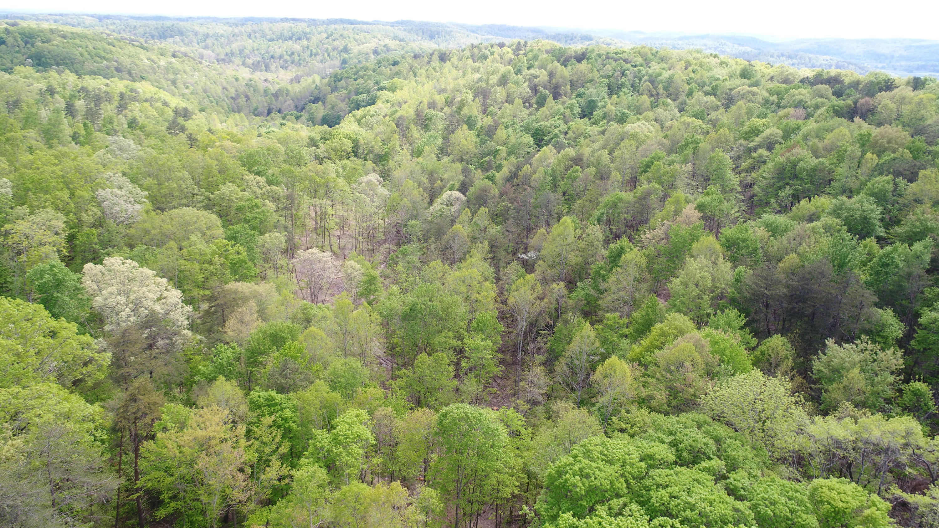 1234 Pine Ridge Road Somerset, KY 42501 - Photo 6 of 34 DJI_0314