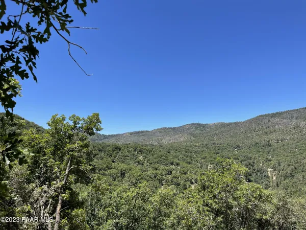 a view of a mountain