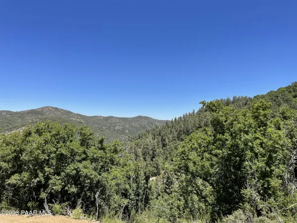 a view of a mountain range with lush green forest