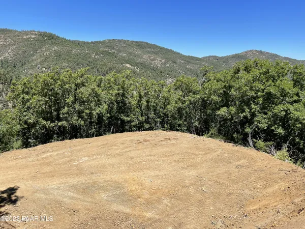 a view of a mountain