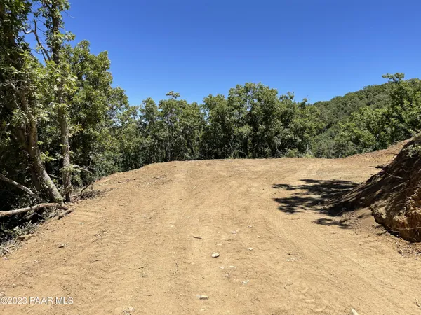 a view of a backyard of the house